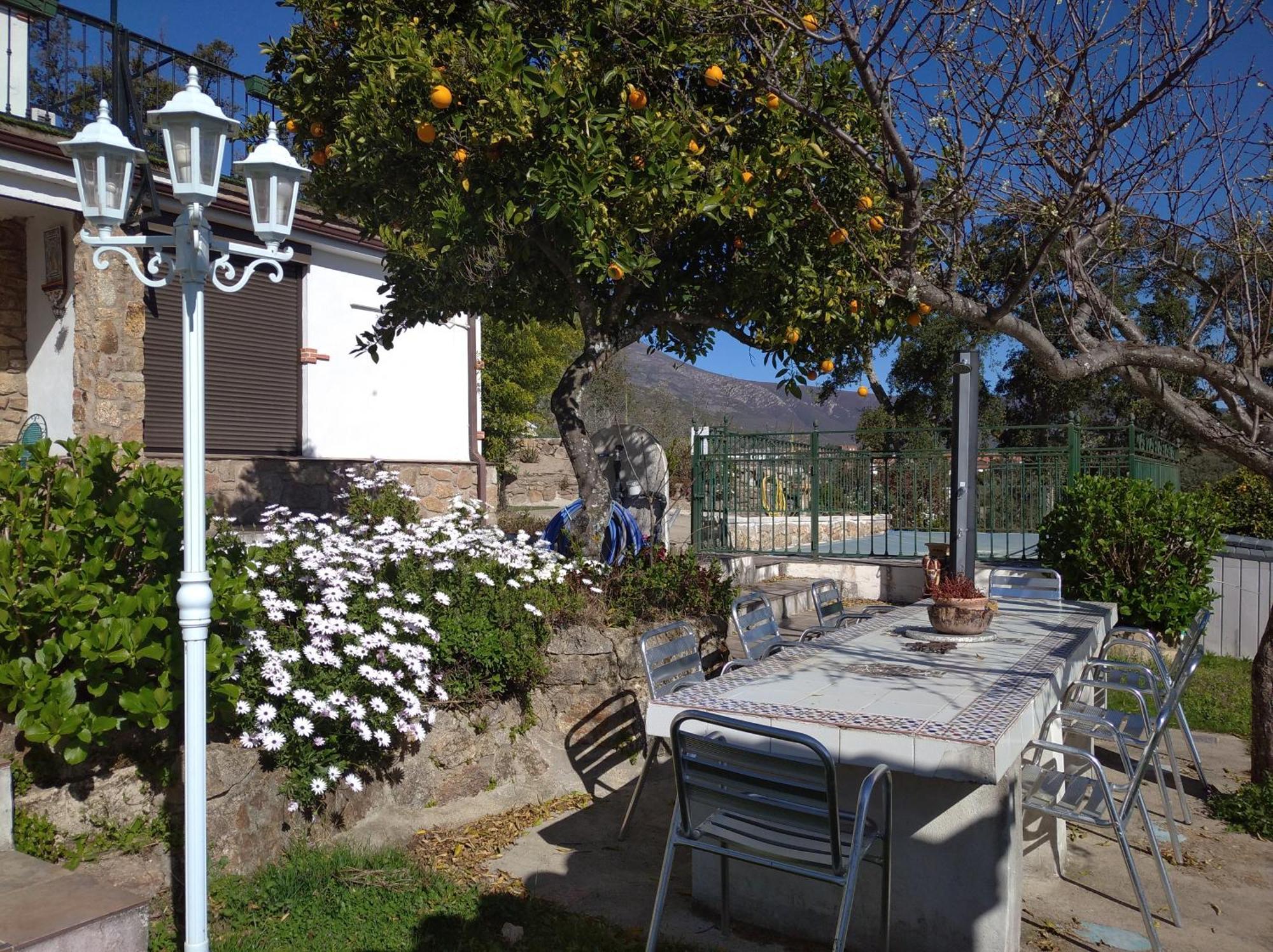 Casa Rural El Mirador De Acebo, 4 Estrellas, Piscina, Spa Εξωτερικό φωτογραφία